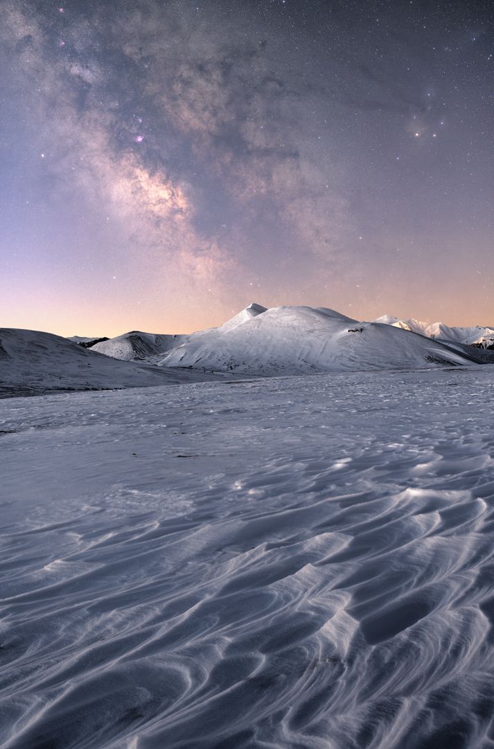 Bourgeons d'étoiles